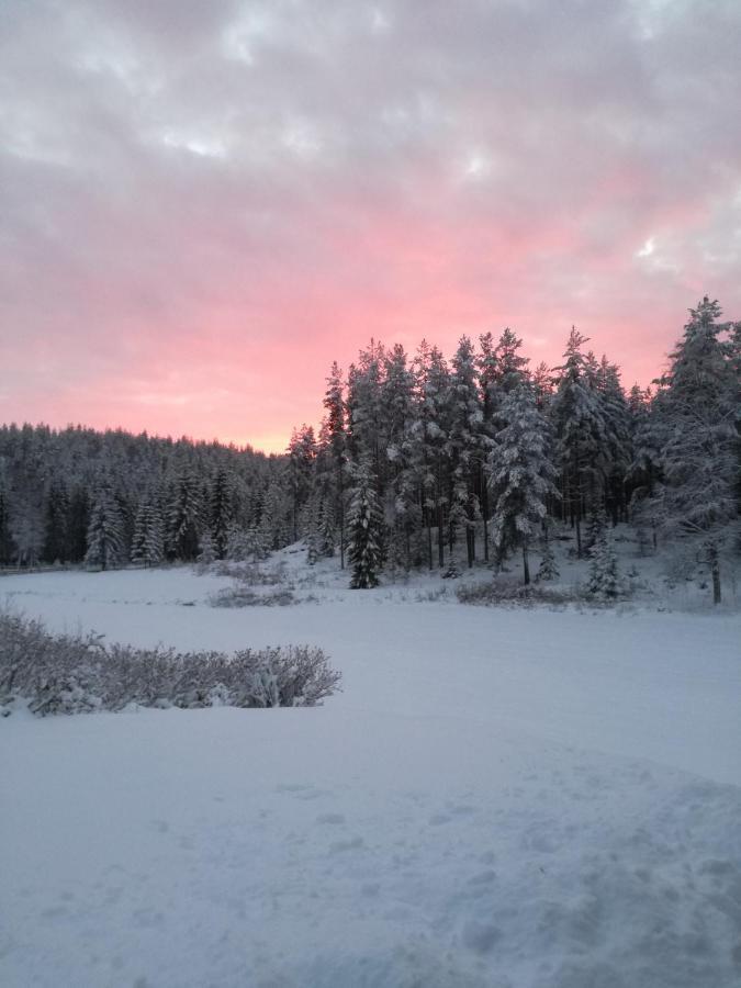Presterudveien 125 Vikersund Zewnętrze zdjęcie
