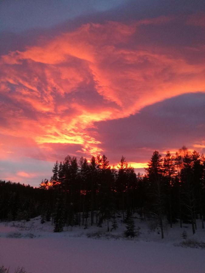 Presterudveien 125 Vikersund Zewnętrze zdjęcie
