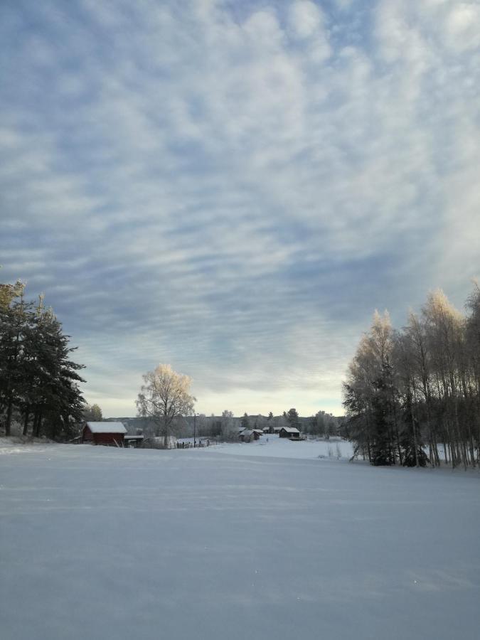 Presterudveien 125 Vikersund Zewnętrze zdjęcie